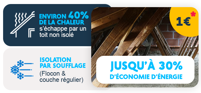 isolation-des-combles-vos-travaux-un-euro-2 isolation-des-combles-vos-travaux-un-euro-2